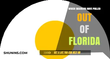 Insurers Abandoning Florida: Who and Why?