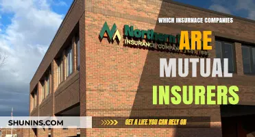 Understanding Mutual Insurers: Top Companies Owned by Policyholders