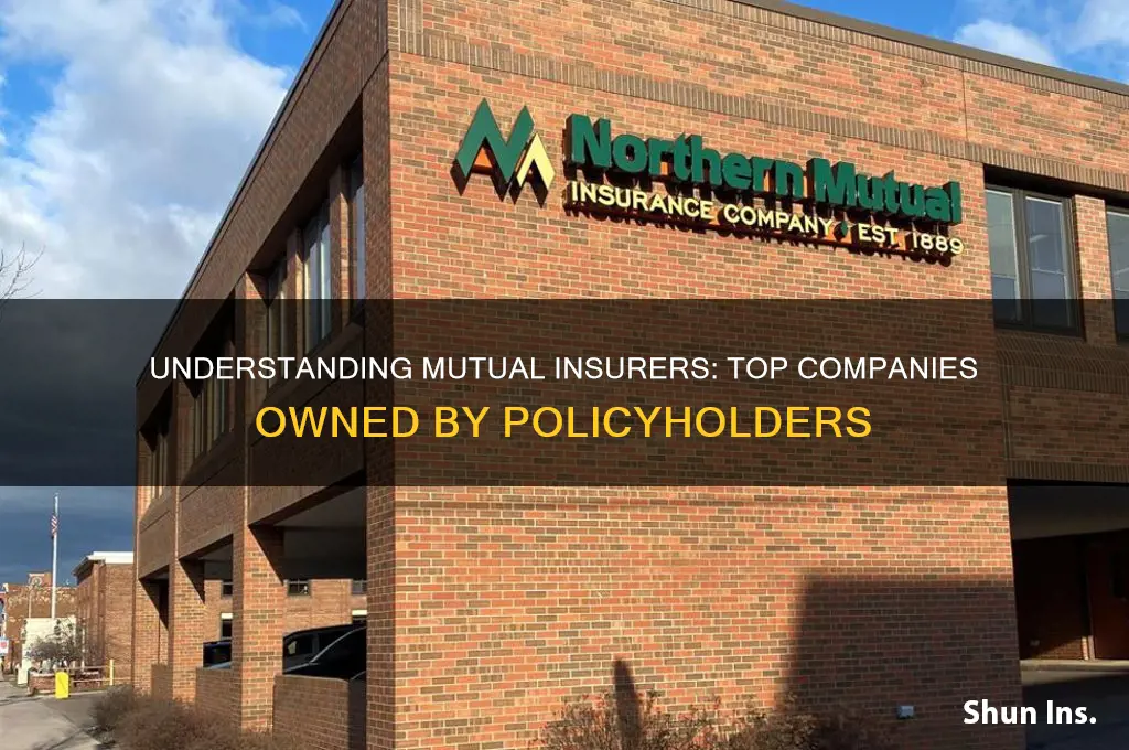 which insurnace companies are mutual insurers