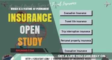 Permanent Insurance: A Lifelong Financial Safety Net