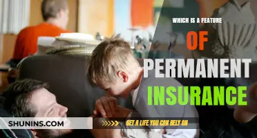 Permanent Insurance: Key Features and Long-Term Benefits Explained