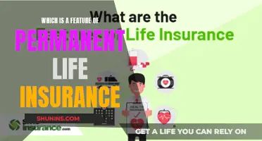 Understanding the Key Differences: Permanent Life Insurance Features