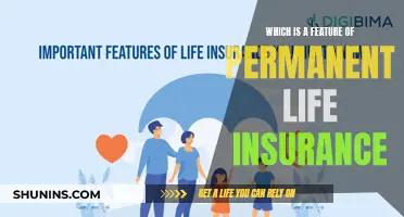 Permanent Life Insurance: Understanding the Key Features and Benefits