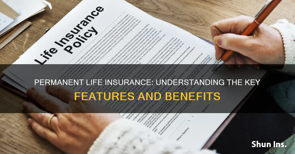 which is a feature of permanent life insurance
