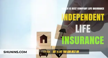 Independent Life Insurance vs. Company Plans: Which Offers Better Coverage?