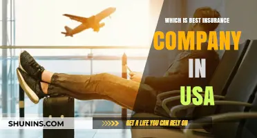 Top USA Insurance Companies: A Comprehensive Guide to the Best Providers