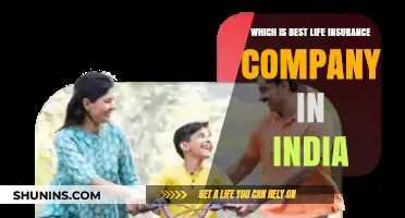 Top Life Insurance Companies in India: A Comprehensive Comparison Guide