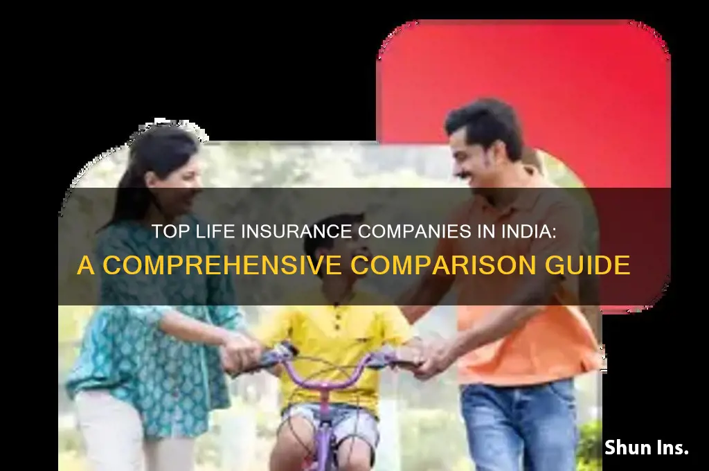 which is best life insurance company in india