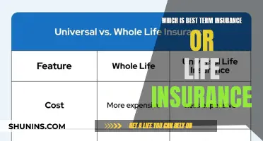 Term or Life Insurance: Which is the Better Option?