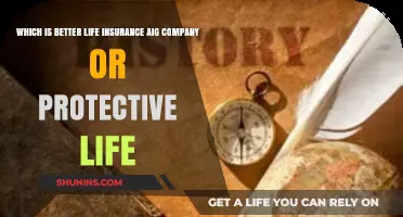 AIG vs. Protective Life: Which Life Insurance Provider is Better?