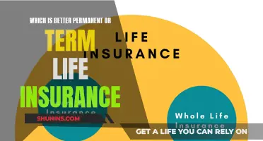 Term vs Permanent Life Insurance: What's the Best Choice?