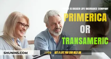 Primerica vs. Transamerica: Which Life Insurance Giant is Larger?