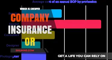 Company Insurance vs. Alternatives: Which Option Saves You More?