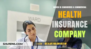 Understanding Commercial Health Insurance: Identifying Key Providers and Their Roles