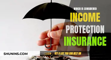 Income Protection Insurance: What Counts?