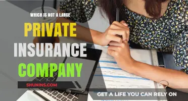 Unveiling the Non-Giant: Which Private Insurer Doesn't Make the Cut?
