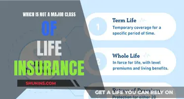 Understanding Life Insurance: Exploring the Major Classes