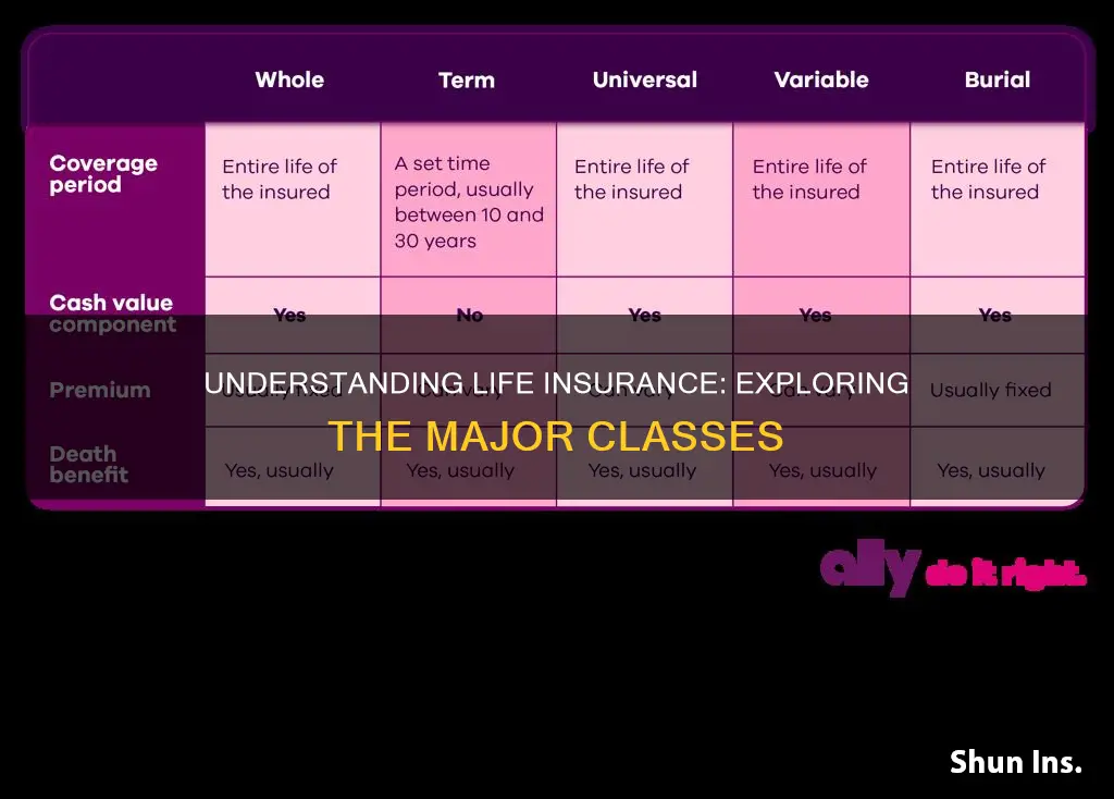 which is not a major class of life insurance