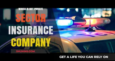 Identifying Non-Private Sector Insurance Companies: A Comprehensive Guide