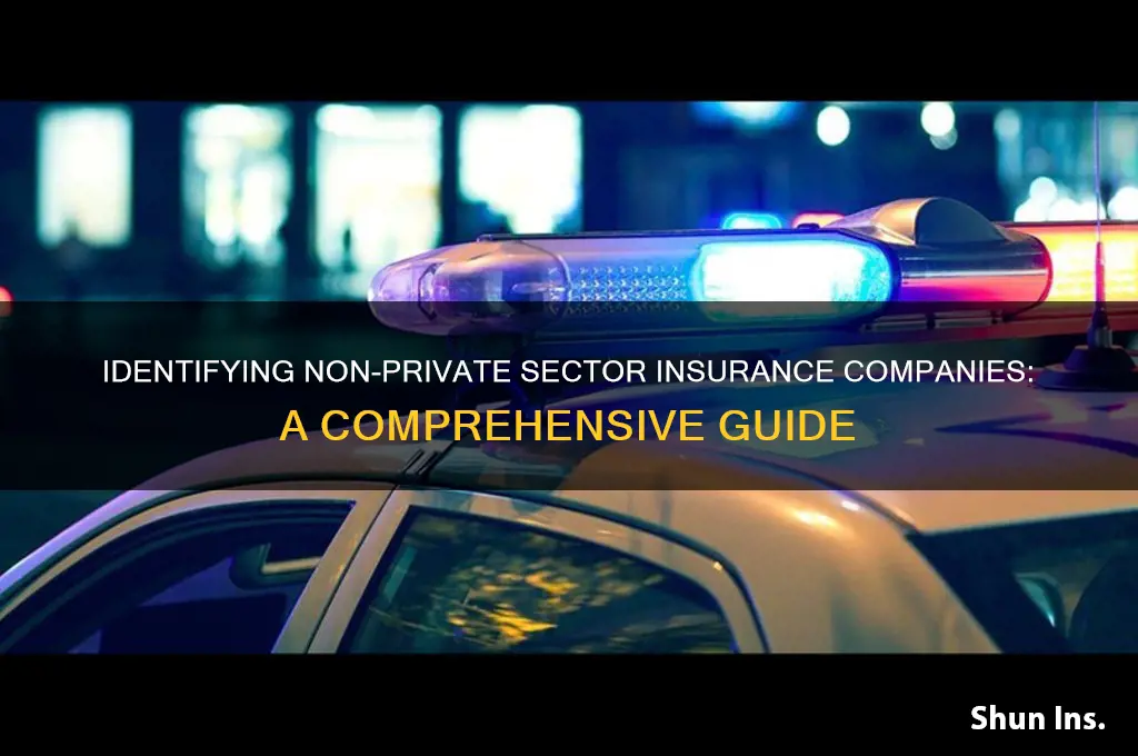 which is not private sector insurance company