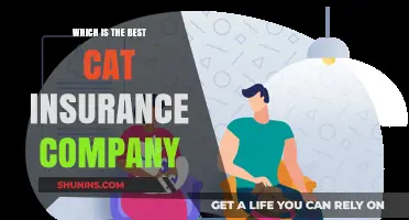 Top Cat Insurance Companies: A Comprehensive Guide to Choosing the Best
