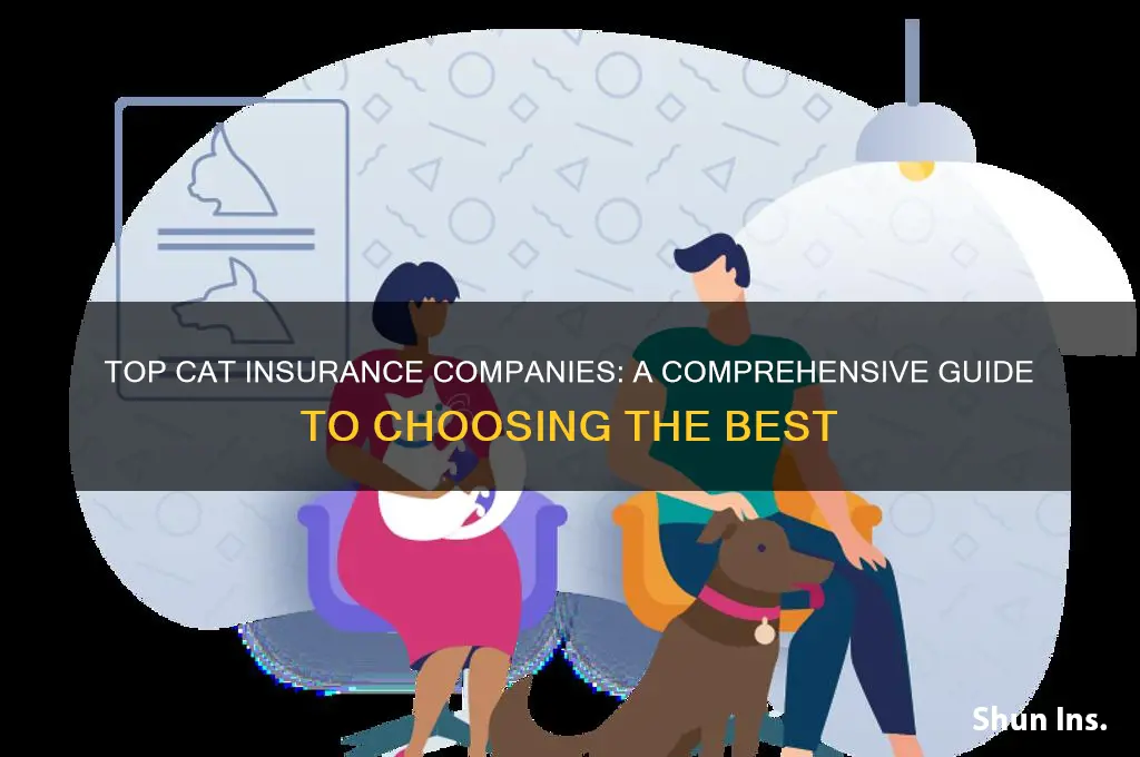 which is the best cat insurance company