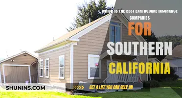 Top Earthquake Insurance Providers for Southern California Residents