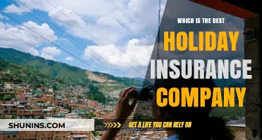 Top Holiday Insurance Companies Compared: Find Your Best Travel Coverage