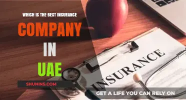 Top UAE Insurance Companies: A Comprehensive Guide to the Best
