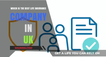 Top UK Life Insurance Companies: A Comprehensive Comparison Guide