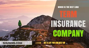 Top Long-Term Insurance Companies: A Comprehensive Guide to Choosing the Best