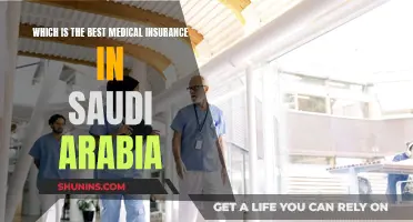 Top Medical Insurance Providers in Saudi Arabia