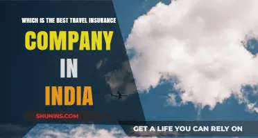 Top Travel Insurance Companies in India: A Comprehensive Guide