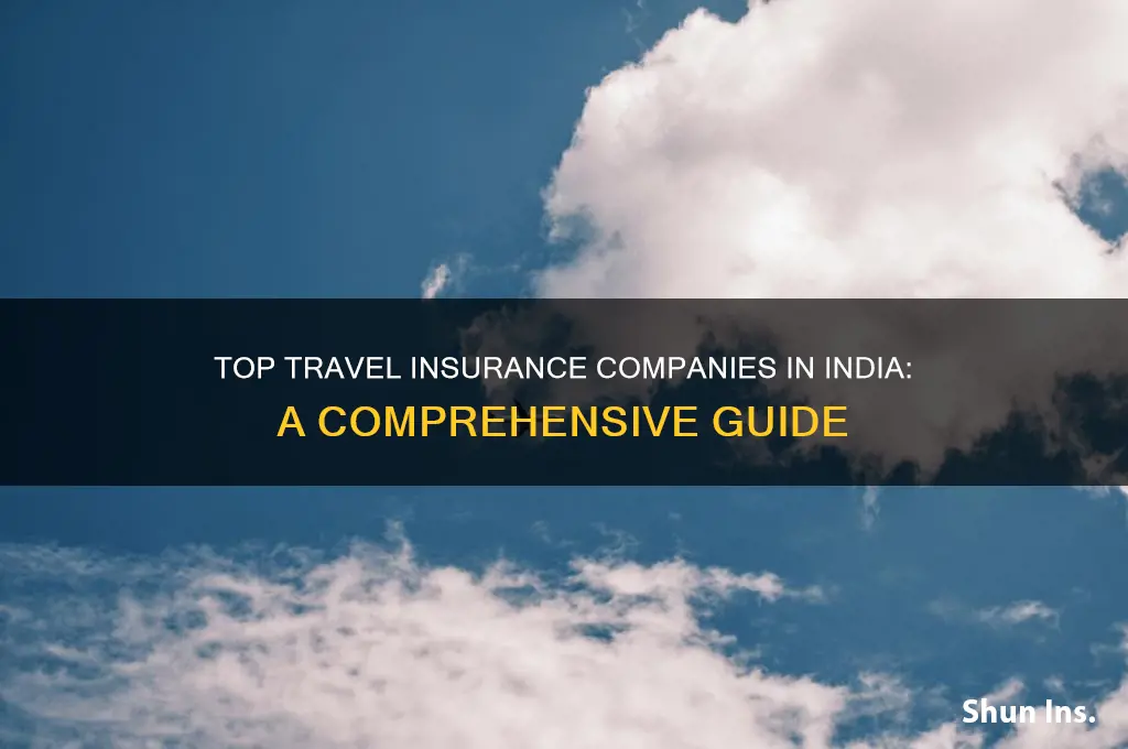 which is the best travel insurance company in india