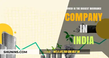 India's Largest Insurance Giant: Unveiling the Top Company Dominating the Market
