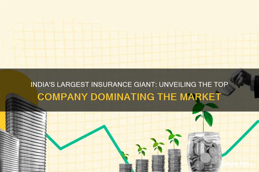 which is the biggest insurance company in india