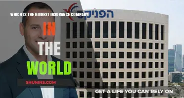Discovering the World's Largest Insurance Company: A Comprehensive Analysis