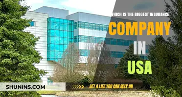 Discovering America's Largest Insurance Provider: A Comprehensive Analysis