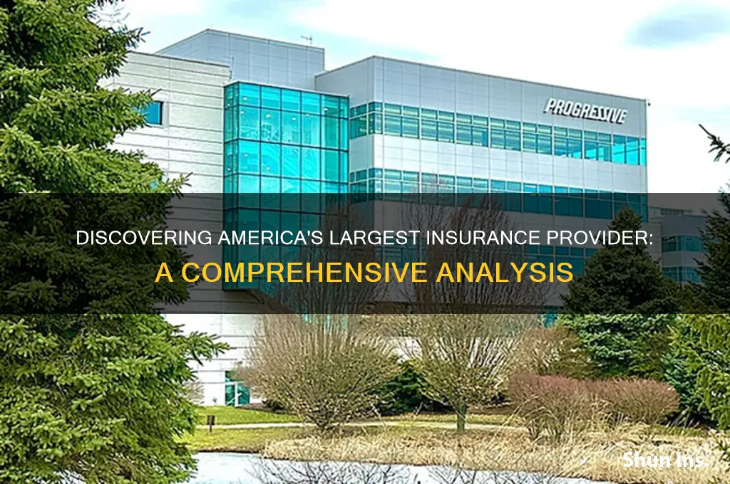 which is the biggest insurance company in usa