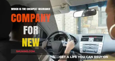 Affordable Insurance Options for New Drivers: Finding the Cheapest Company