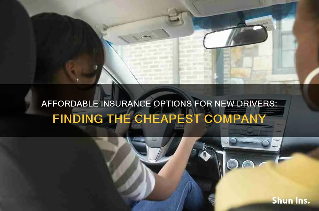 which is the cheapest insurance company for new