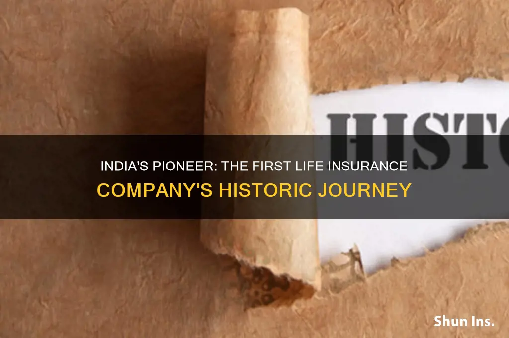 which is the first life insurance company in india