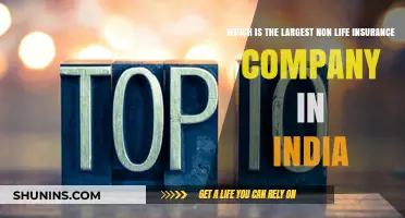 India's Top Non-Life Insurance Giant: Unveiling the Largest Player