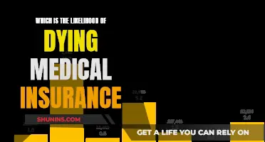 Medical Insurance: Understanding Death Benefits and Payouts