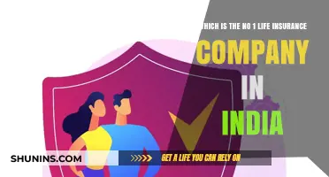 Top Life Insurance Company in India: A Comprehensive Review