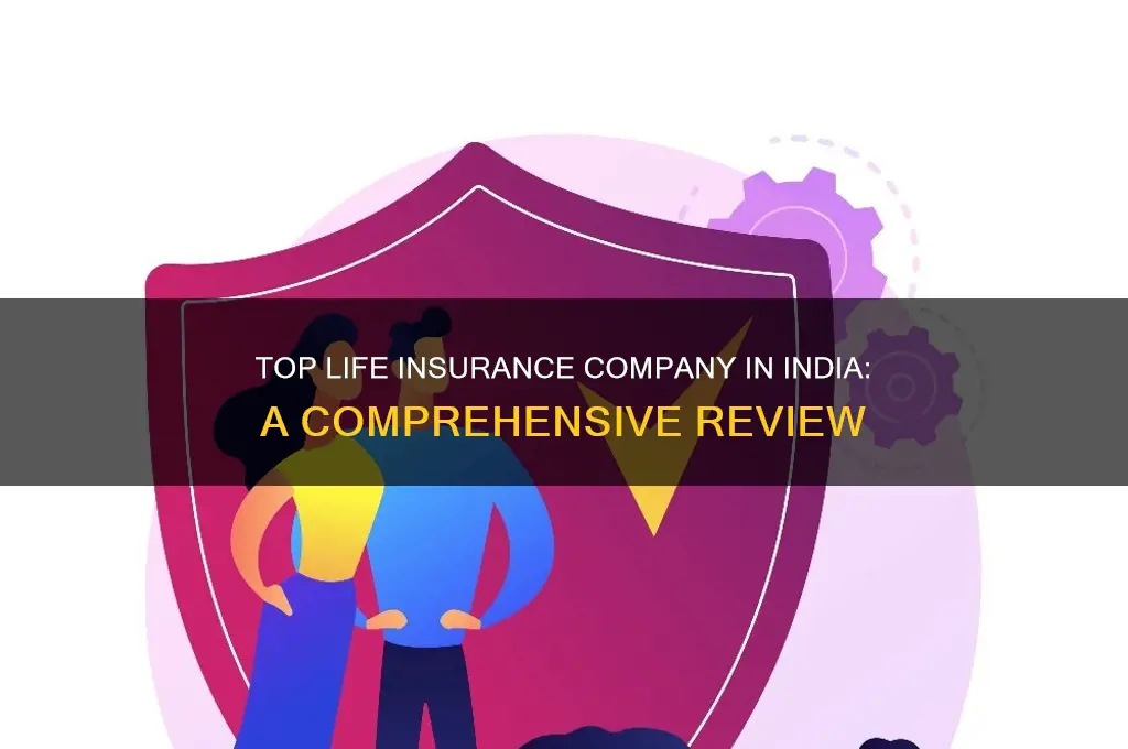 which is the no 1 life insurance company in india