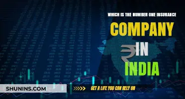 India's Top Insurance Provider: Unveiling the Leading Company in 2023