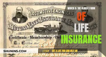 The Ancient Origins of Life Insurance: A Historical Journey