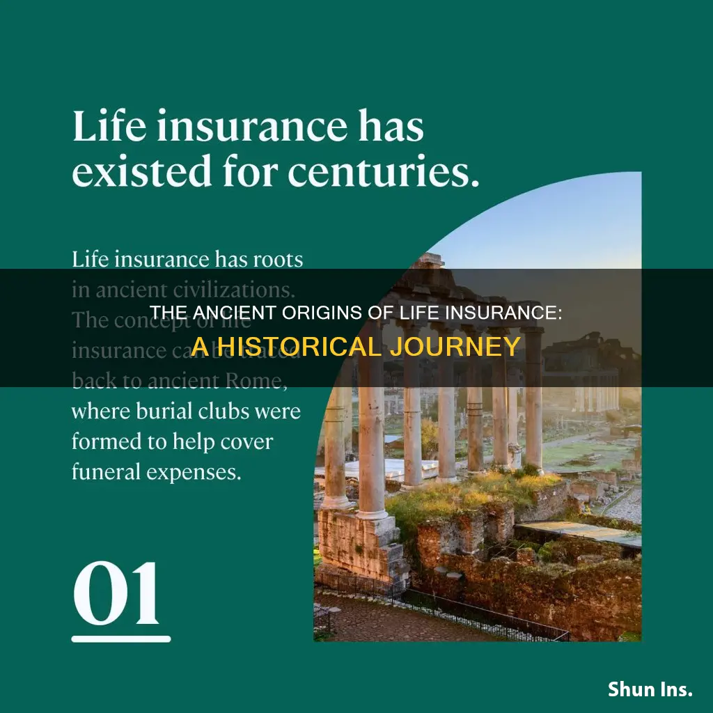 which is the oldest form of life insurance