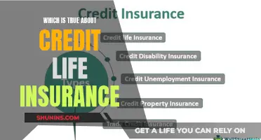 Credit Life Insurance: Unveiling the Truth Behind the Policy